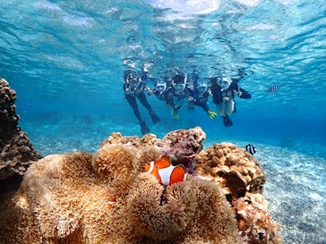 初心者専門宮古島シュノーケリングツアーに投稿された画像（2024/5/9）