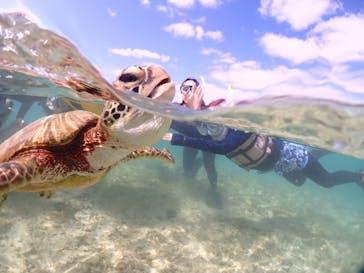 初心者専門宮古島シュノーケリングツアーに投稿された画像（2024/5/9）