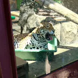 天王寺動物園に投稿された画像（2024/5/9）