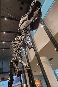 福井県立恐竜博物館に投稿された画像（2024/5/9）