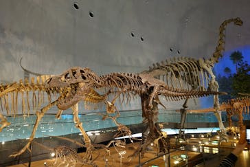 福井県立恐竜博物館に投稿された画像（2024/5/9）