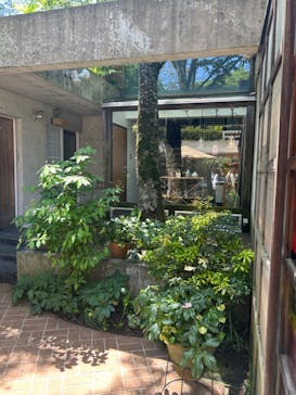 甲山ガラス工房に投稿された画像（2024/5/9）