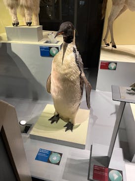 国立科学博物館に投稿された画像（2024/5/9）