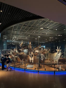 国立科学博物館に投稿された画像（2024/5/9）