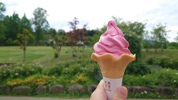 いばらきフラワーパークに投稿された画像（2024/5/9）