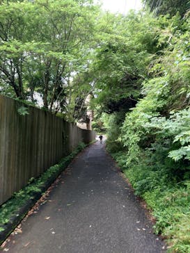 成田の命泉　大和の湯に投稿された画像（2024/5/9）