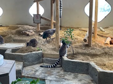 NIFREL（ニフレル）に投稿された画像（2024/5/9）