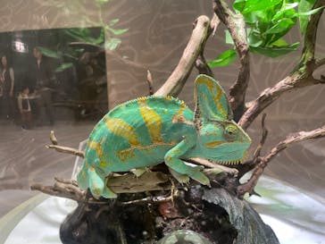 NIFREL（ニフレル）に投稿された画像（2024/5/9）