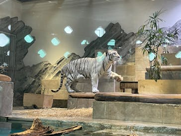 NIFREL（ニフレル）に投稿された画像（2024/5/9）