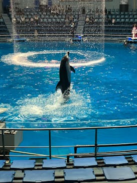 マクセル アクアパーク品川に投稿された画像（2024/5/9）