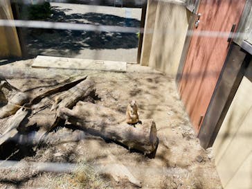 到津の森公園に投稿された画像（2024/5/9）