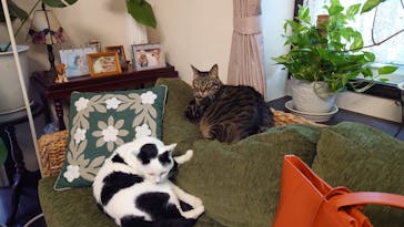 ガラス体験 遊び心 安曇野に投稿された画像（2024/5/9）