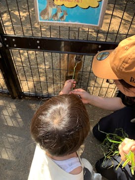 伊豆シャボテン動物公園に投稿された画像（2024/5/9）