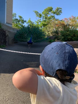 伊豆シャボテン動物公園に投稿された画像（2024/5/9）