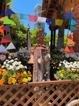 浜名湖花博2024に投稿された画像（2024/5/9）