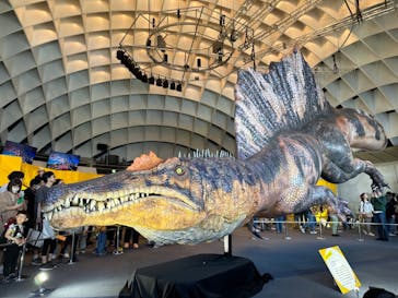 オダイバ恐竜博覧会2024 -福井から“ヤツラ”が新幹線でやってくる！-に投稿された画像（2024/5/9）