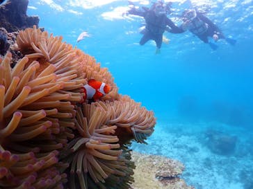 CHAMP TOUR　宮古島に投稿された画像（2024/5/9）