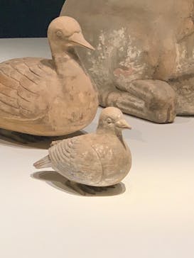 特別展「法然と極楽浄土」東京国立博物館 平成館に投稿された画像（2024/5/9）