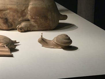 特別展「法然と極楽浄土」東京国立博物館 平成館に投稿された画像（2024/5/9）