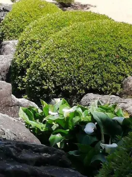 足立美術館に投稿された画像（2024/5/9）