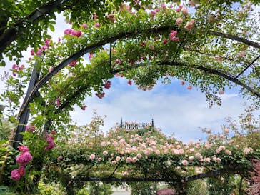 横浜イングリッシュガーデンに投稿された画像（2024/5/9）