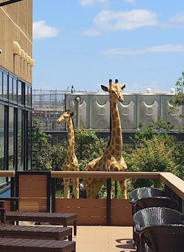 SPA専 太平のゆに投稿された画像（2024/5/10）