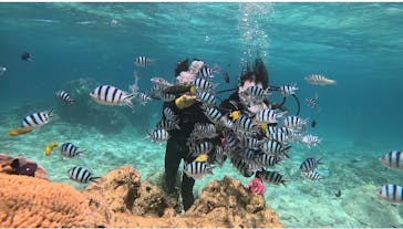 青の洞窟専門店　沖縄ダイビングショップ和に投稿された画像（2024/5/10）