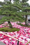 日本庭園　由志園に投稿された画像（2024/5/10）