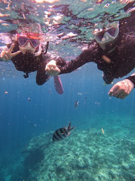 沖縄マリンサービス碧に投稿された画像（2024/5/10）