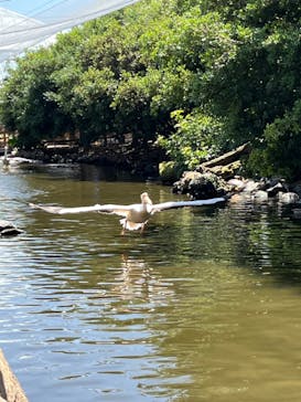 神戸どうぶつ王国に投稿された画像（2024/5/10）