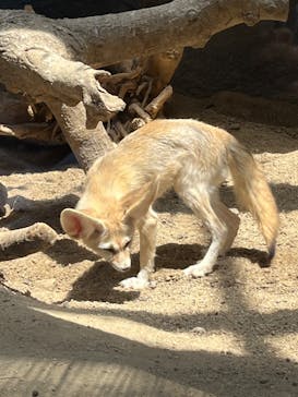 神戸どうぶつ王国に投稿された画像（2024/5/10）