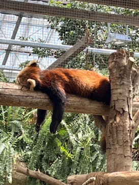 神戸どうぶつ王国に投稿された画像（2024/5/10）