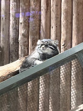 神戸どうぶつ王国に投稿された画像（2024/5/10）