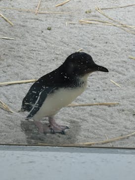 AOAO SAPPOROに投稿された画像（2024/5/10）