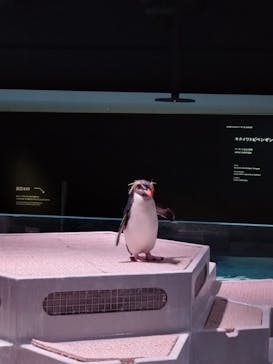 AOAO SAPPOROに投稿された画像（2024/5/10）