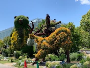 浜名湖花博2024に投稿された画像（2024/5/10）