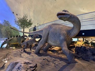福井県立恐竜博物館に投稿された画像（2024/5/10）