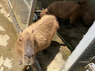 ネオパークオキナワに投稿された画像（2024/5/10）