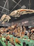 特別展「大哺乳類展３－わけてつなげて大行進」に投稿された画像（2024/5/10）