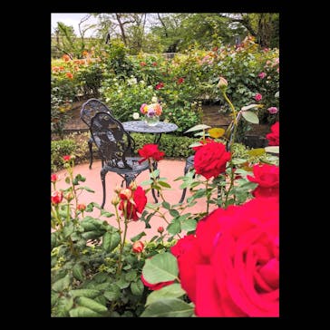 西武園ゆうえんちに投稿された画像（2024/5/10）