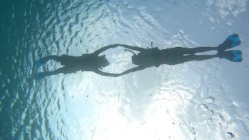 宮古島 ADVENTURE PiPi（ミヤコジマ アドベンチャー ピピ）に投稿された画像（2024/5/10）