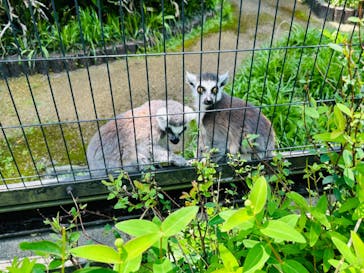 到津の森公園に投稿された画像（2024/5/10）