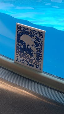 新江ノ島水族館に投稿された画像（2024/5/10）