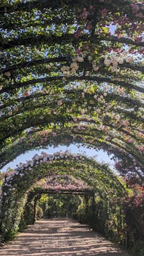 横浜イングリッシュガーデンに投稿された画像（2024/5/10）