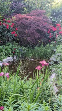 横浜イングリッシュガーデンに投稿された画像（2024/5/10）