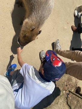 神戸どうぶつ王国に投稿された画像（2024/5/10）