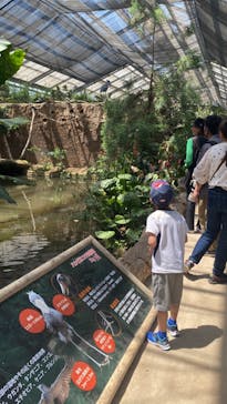 神戸どうぶつ王国に投稿された画像（2024/5/10）