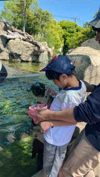 神戸どうぶつ王国に投稿された画像（2024/5/10）