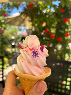 横浜イングリッシュガーデンに投稿された画像（2024/5/10）