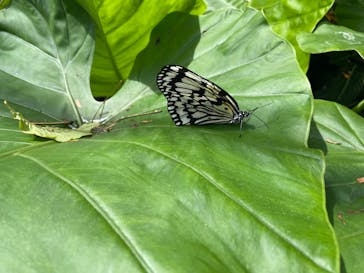 琉球村に投稿された画像（2024/5/10）